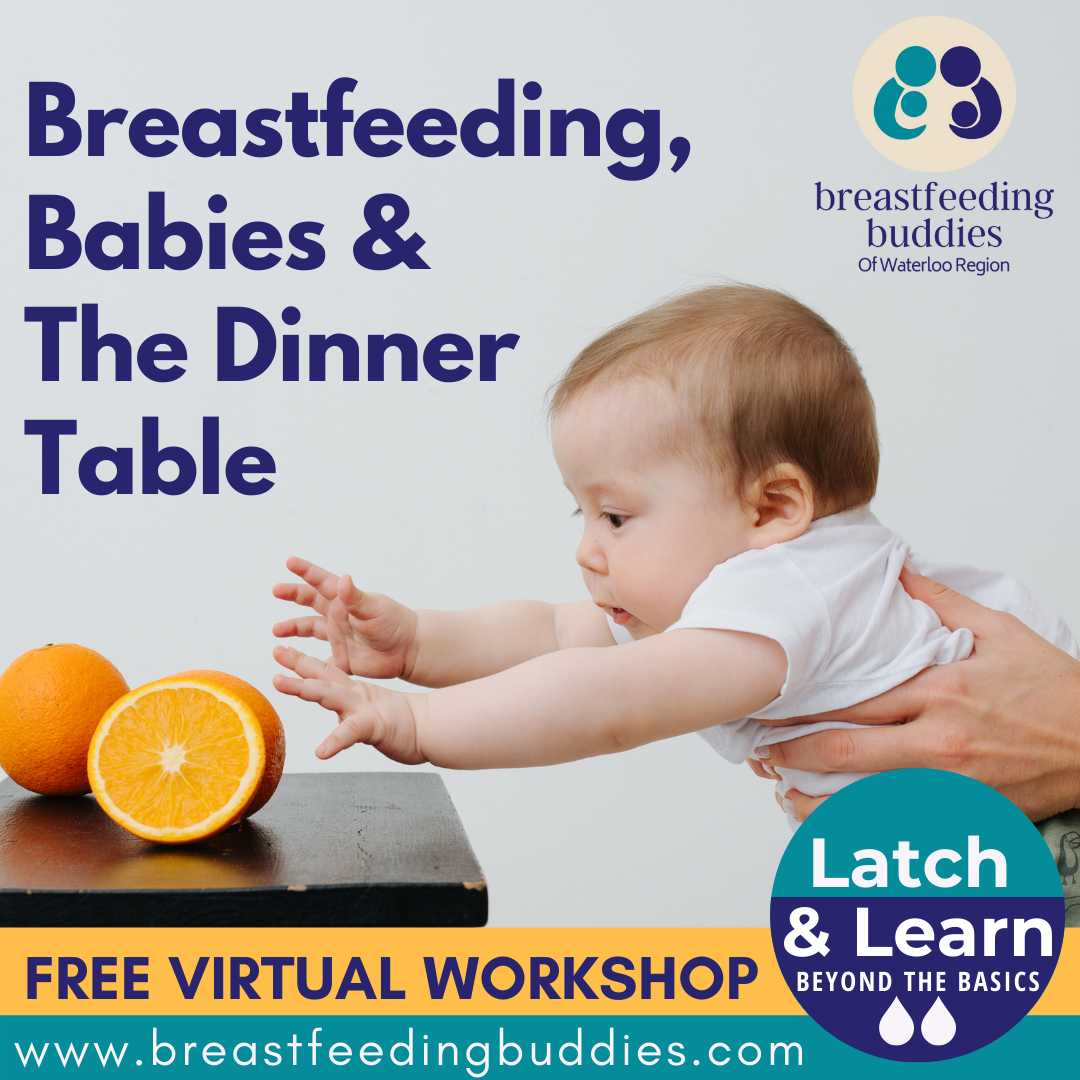 Baby is reaching for an orange on a table. Text Reads Breastfeeding, Babies & the Dinner Table Free Virtual Workshop