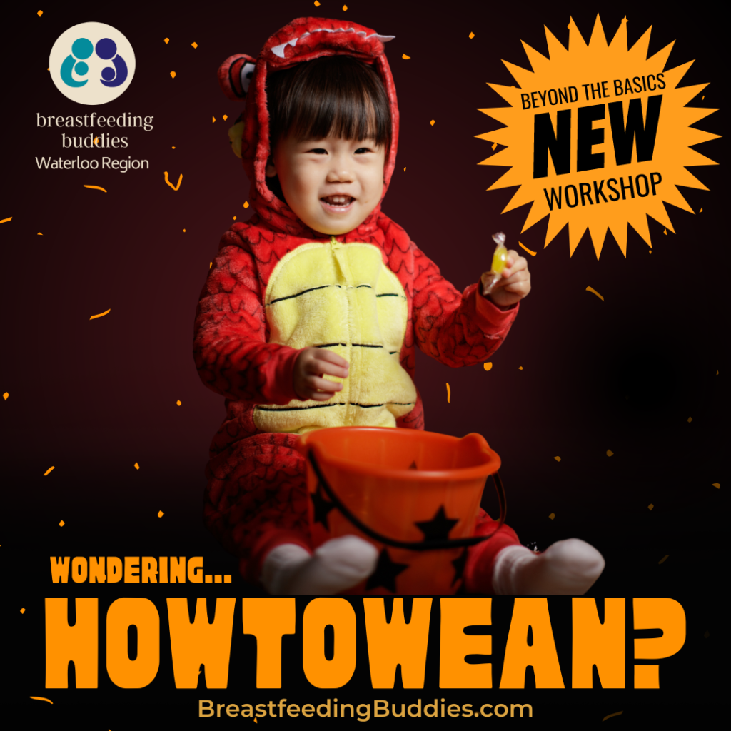 Text reads "Wondering how to wean?", photo shows a toddler in a halloween costume holding a pumpkin themed bucket.